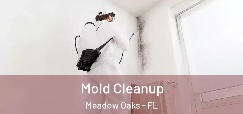  Mold Cleanup Meadow Oaks - FL
