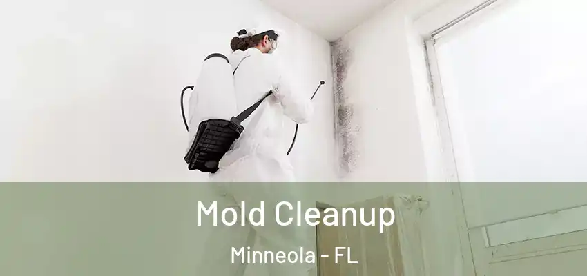  Mold Cleanup Minneola - FL