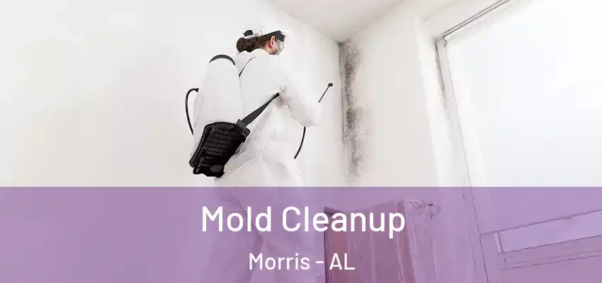 Mold Cleanup Morris - AL