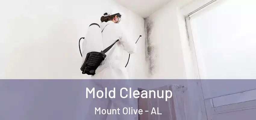 Mold Cleanup Mount Olive - AL