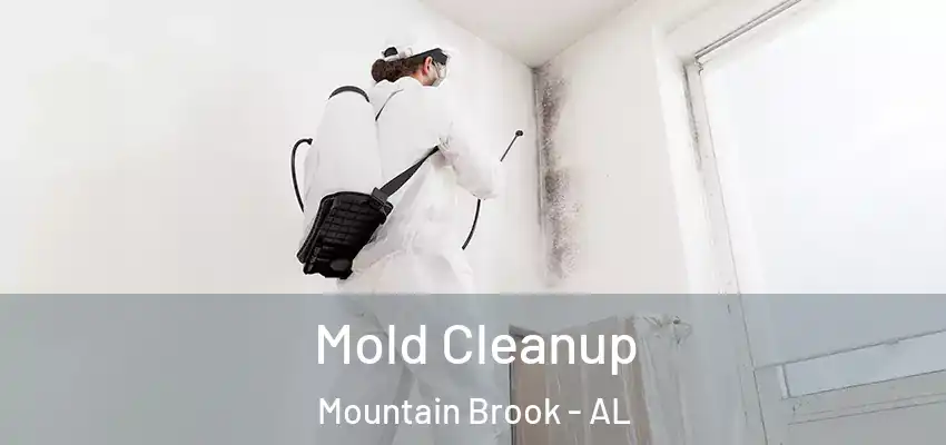  Mold Cleanup Mountain Brook - AL