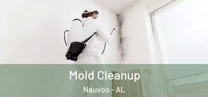  Mold Cleanup Nauvoo - AL