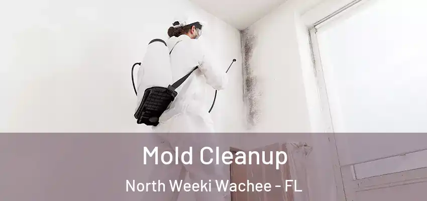  Mold Cleanup North Weeki Wachee - FL