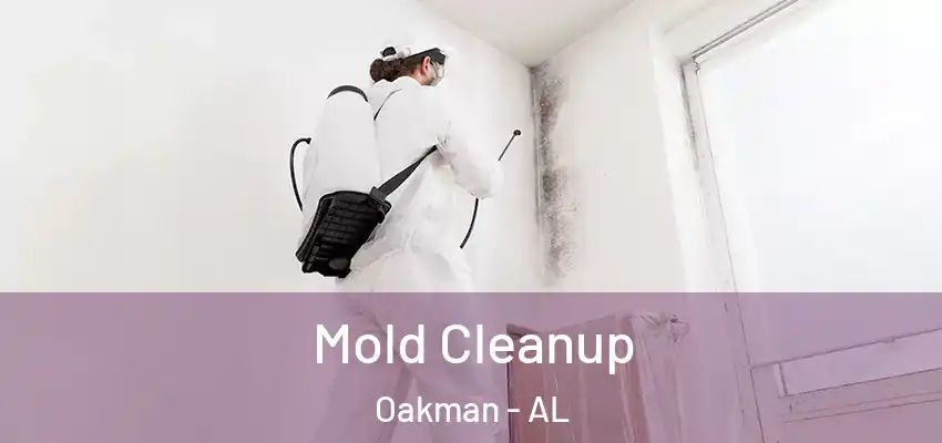  Mold Cleanup Oakman - AL