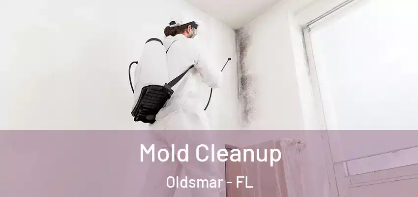  Mold Cleanup Oldsmar - FL