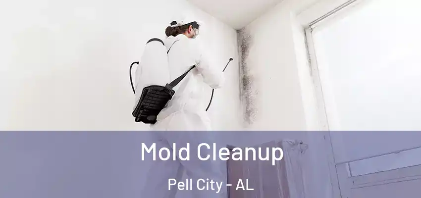  Mold Cleanup Pell City - AL