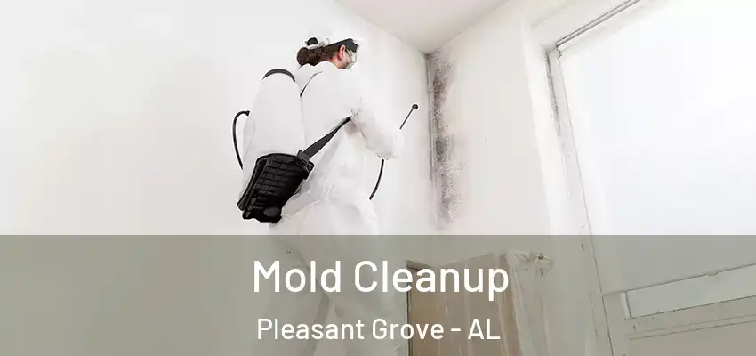  Mold Cleanup Pleasant Grove - AL