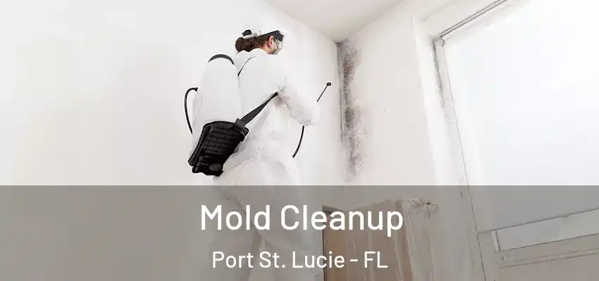  Mold Cleanup Port St. Lucie - FL