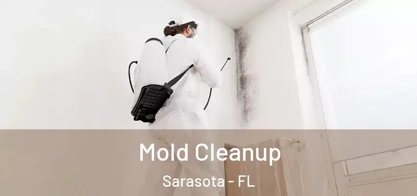  Mold Cleanup Sarasota - FL
