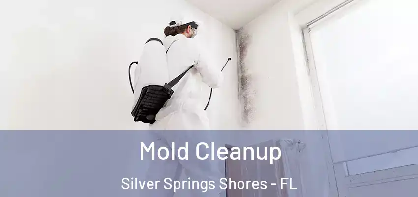  Mold Cleanup Silver Springs Shores - FL