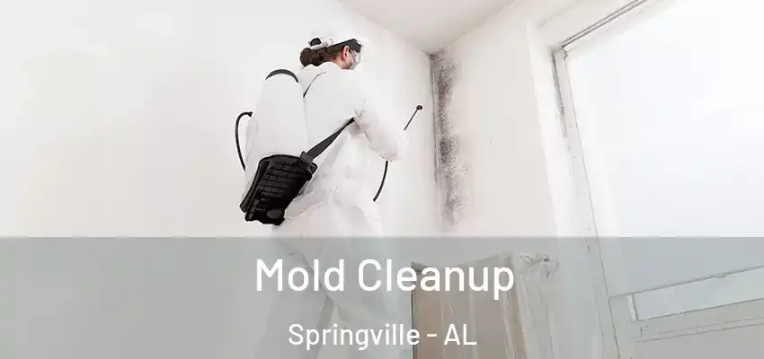  Mold Cleanup Springville - AL