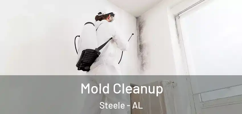  Mold Cleanup Steele - AL