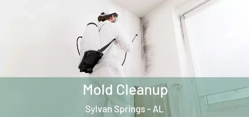  Mold Cleanup Sylvan Springs - AL