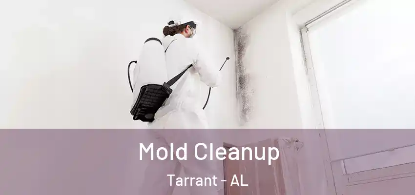  Mold Cleanup Tarrant - AL