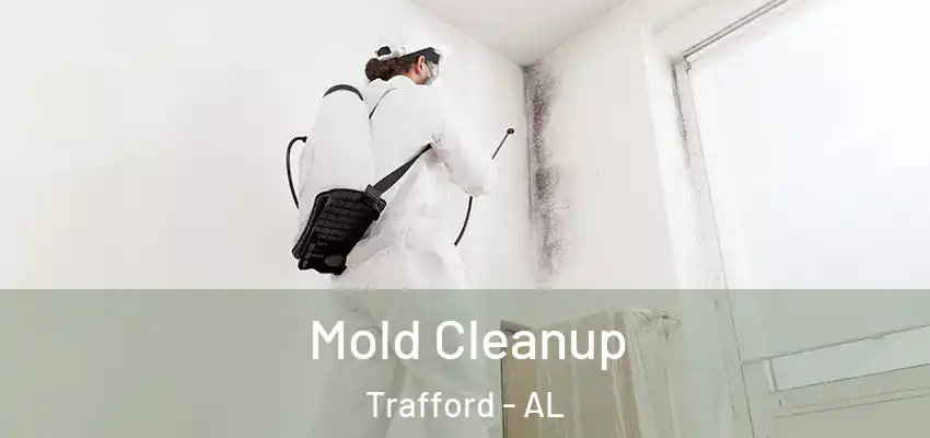 Mold Cleanup Trafford - AL