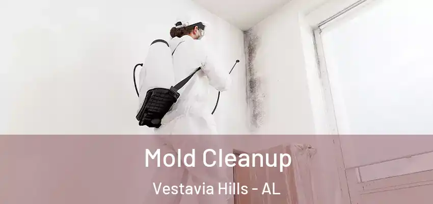  Mold Cleanup Vestavia Hills - AL