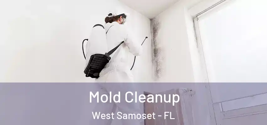  Mold Cleanup West Samoset - FL