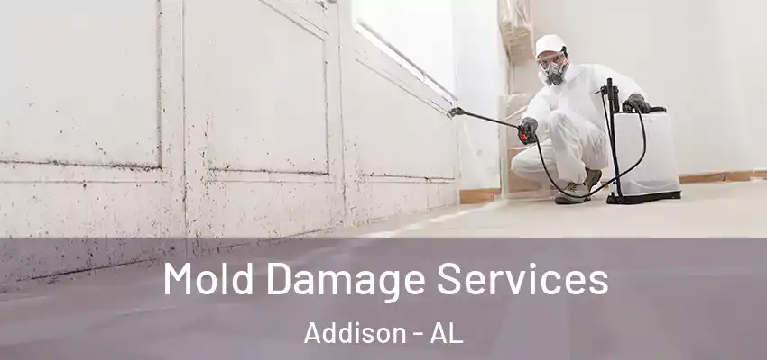  Mold Damage Services Addison - AL