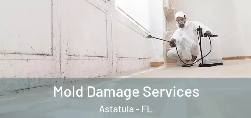  Mold Damage Services Astatula - FL