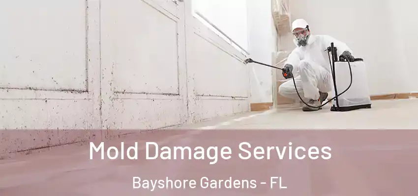  Mold Damage Services Bayshore Gardens - FL