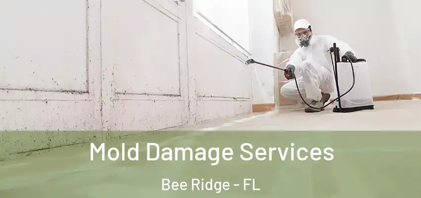  Mold Damage Services Bee Ridge - FL