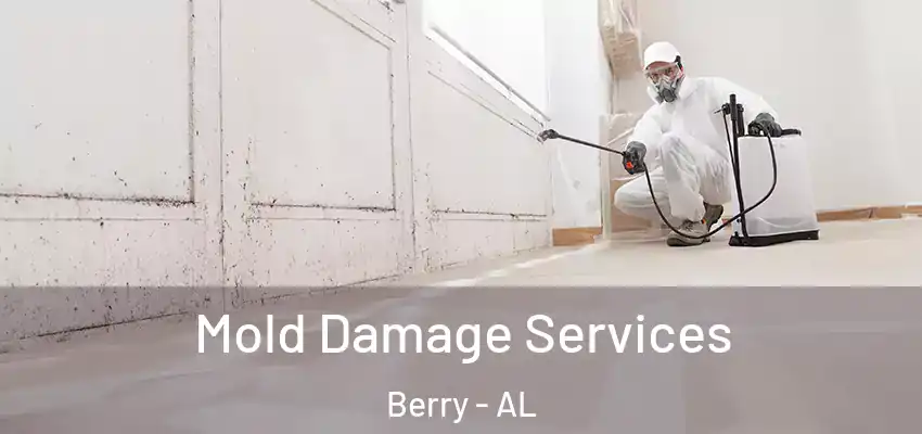 Mold Damage Services Berry - AL