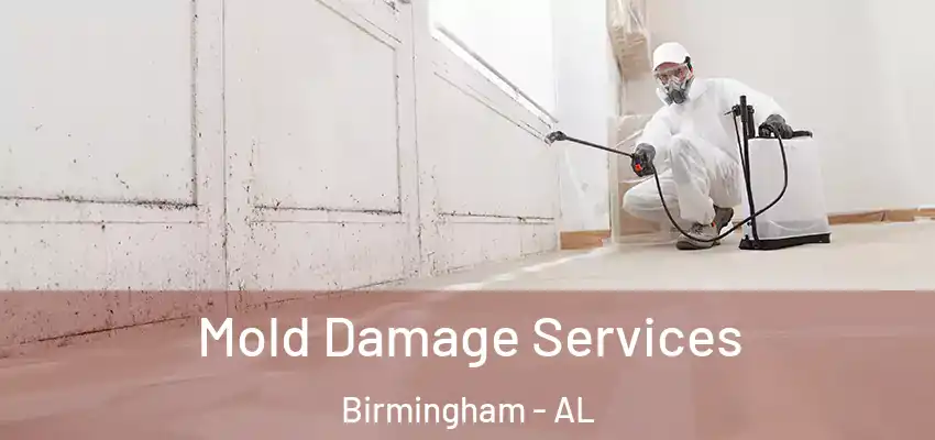 Mold Damage Services Birmingham - AL