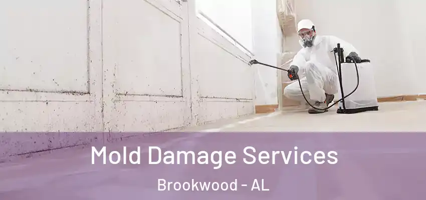  Mold Damage Services Brookwood - AL
