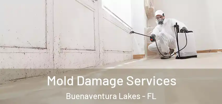  Mold Damage Services Buenaventura Lakes - FL