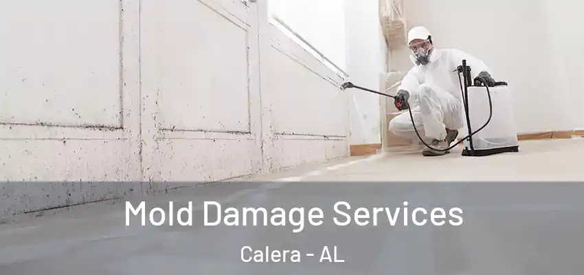 Mold Damage Services Calera - AL