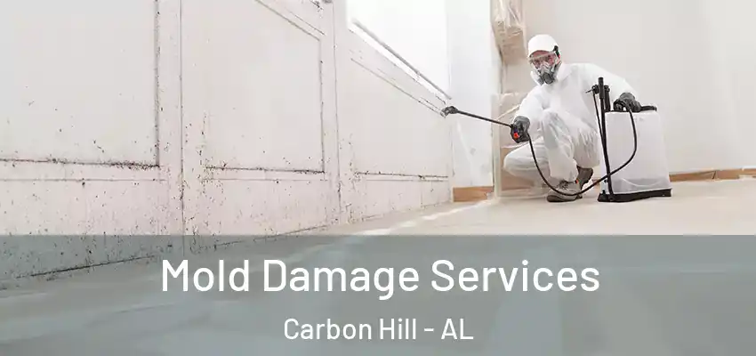 Mold Damage Services Carbon Hill - AL
