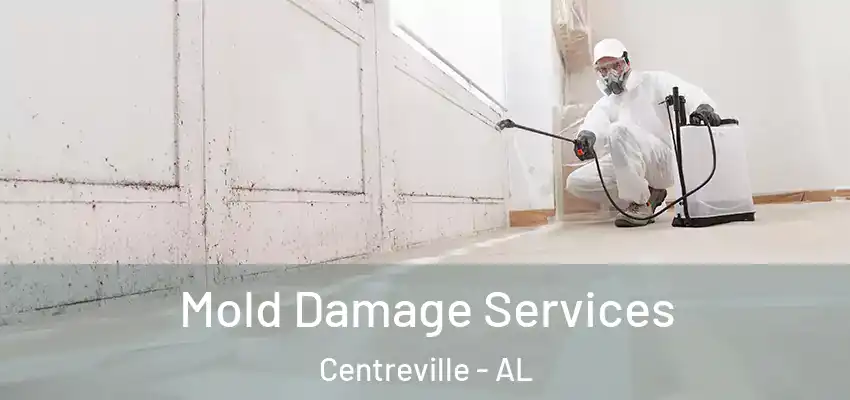  Mold Damage Services Centreville - AL