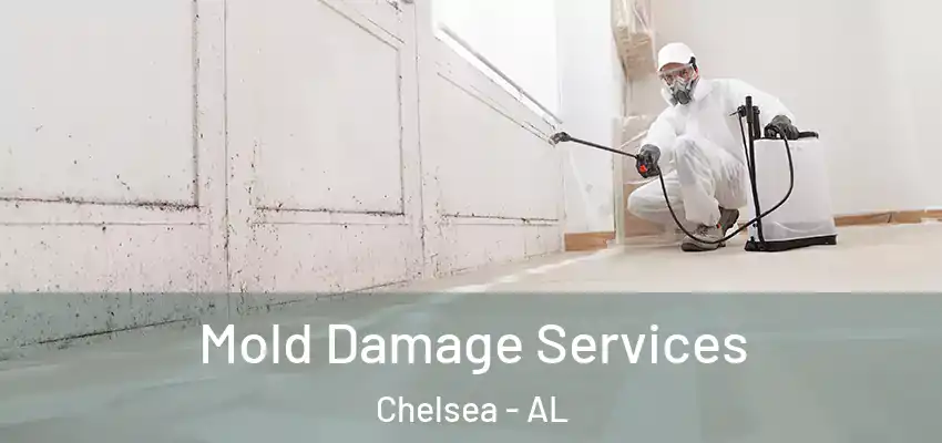  Mold Damage Services Chelsea - AL