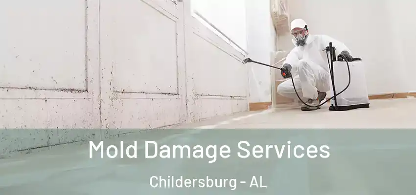  Mold Damage Services Childersburg - AL