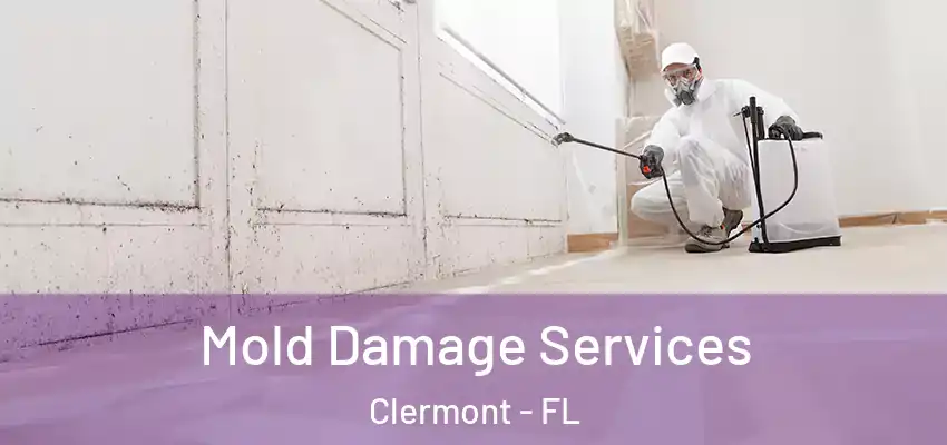  Mold Damage Services Clermont - FL