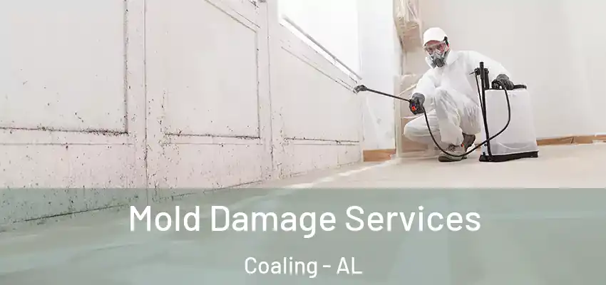 Mold Damage Services Coaling - AL
