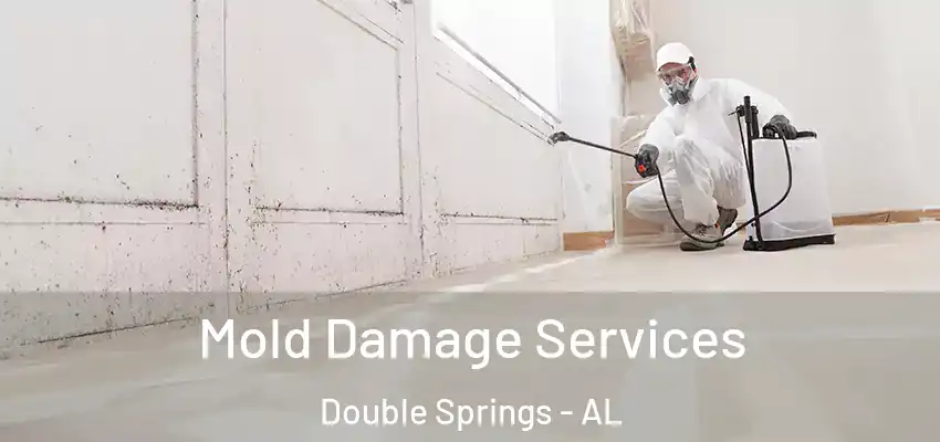  Mold Damage Services Double Springs - AL