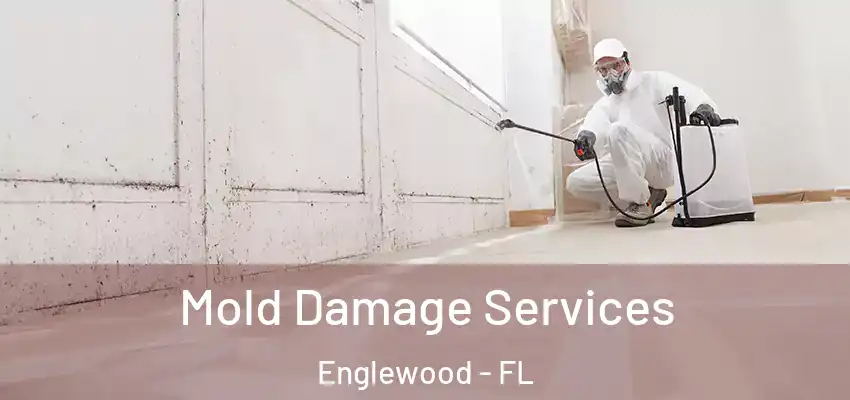  Mold Damage Services Englewood - FL