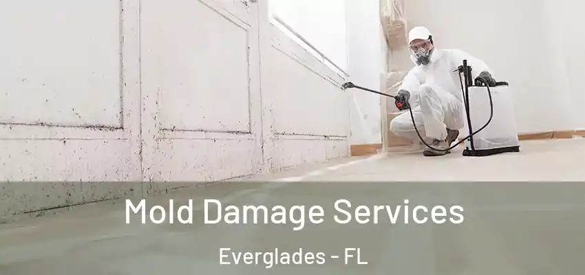 Mold Damage Services Everglades - FL