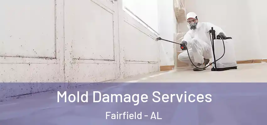  Mold Damage Services Fairfield - AL