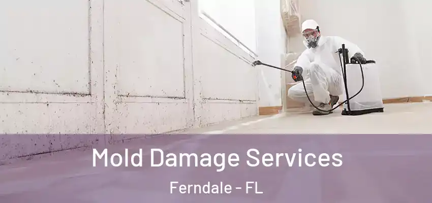  Mold Damage Services Ferndale - FL