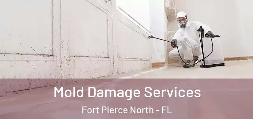  Mold Damage Services Fort Pierce North - FL