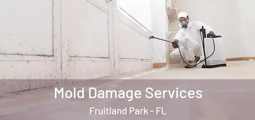 Mold Damage Services Fruitland Park - FL