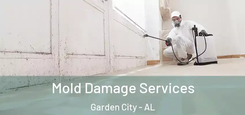 Mold Damage Services Garden City - AL