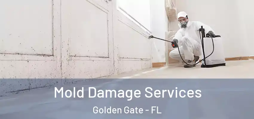  Mold Damage Services Golden Gate - FL