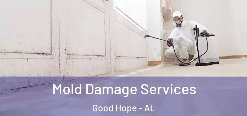  Mold Damage Services Good Hope - AL