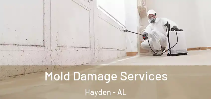  Mold Damage Services Hayden - AL