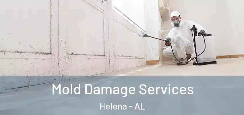 Mold Damage Services Helena - AL