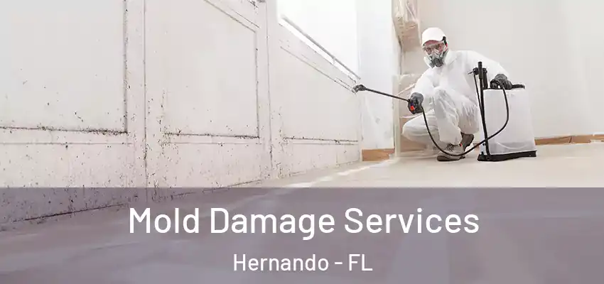 Mold Damage Services Hernando - FL