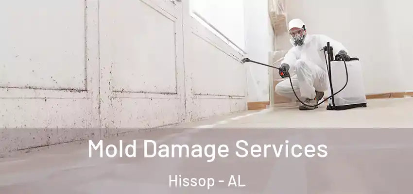  Mold Damage Services Hissop - AL